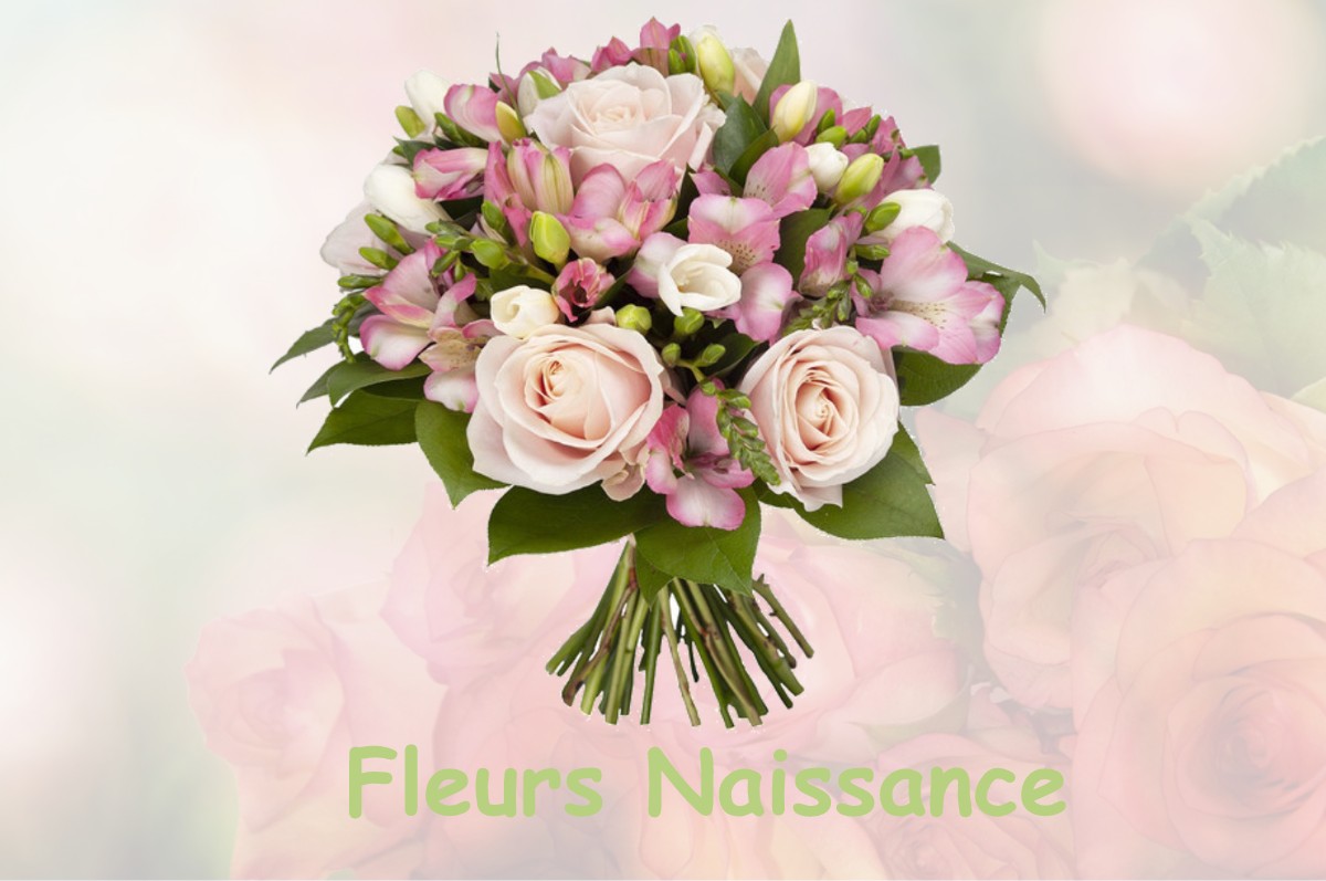 fleurs naissance LA-BRIGUE