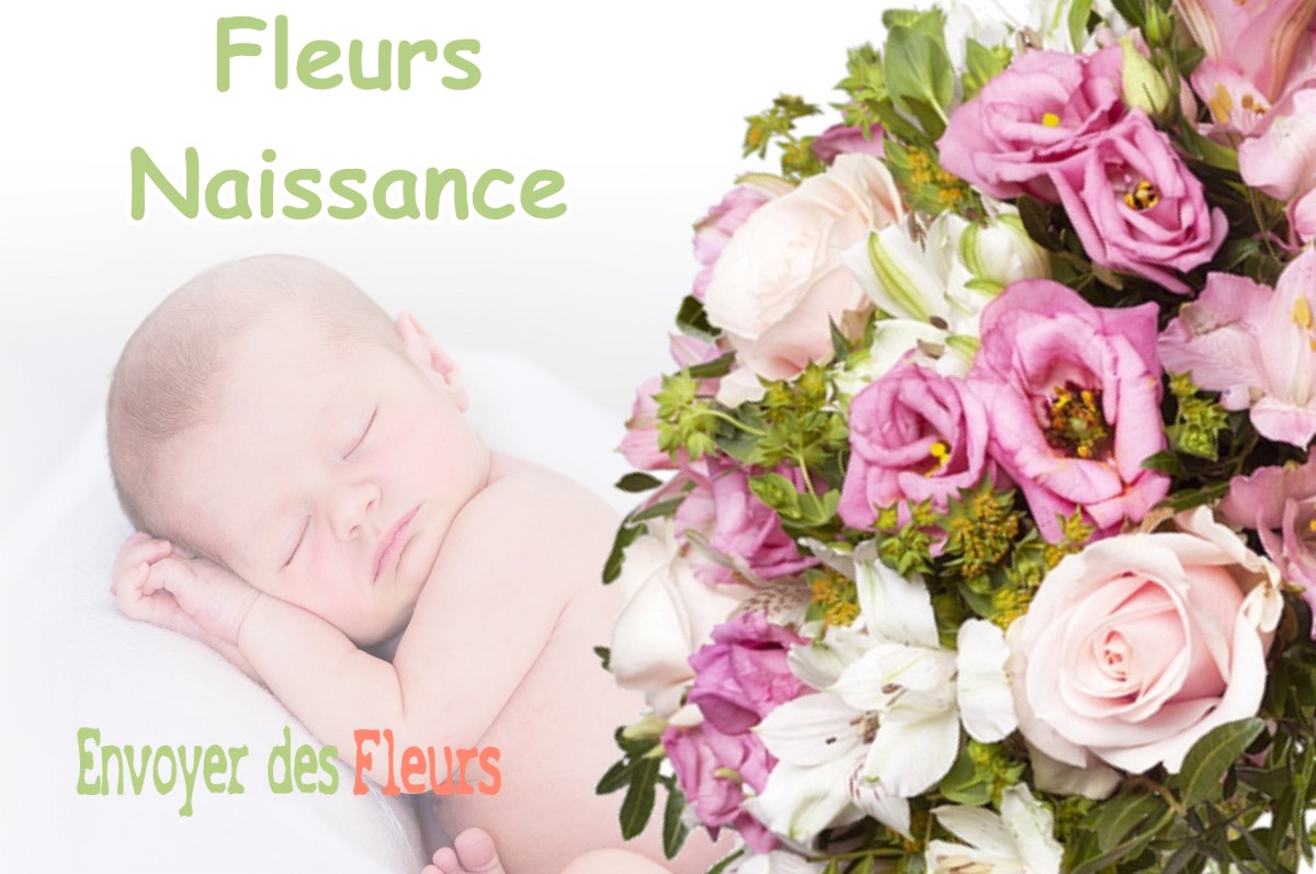 lIVRAISON FLEURS NAISSANCE à LA-BRIGUE